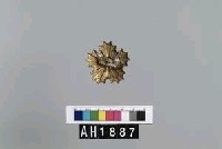 藏品(巡查胸章)的圖片
